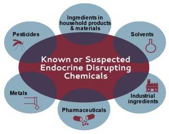 graphic showing various categories of EDCs
