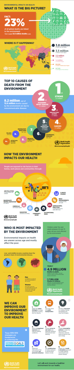 infographic from the World Health Organization